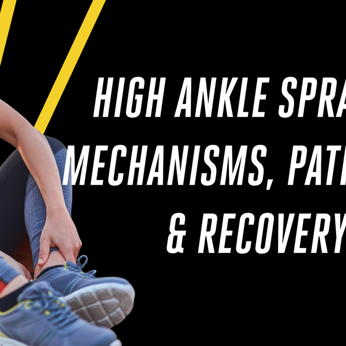 High Ankle Sprains:  Mechanisms, Pathology and Recovery