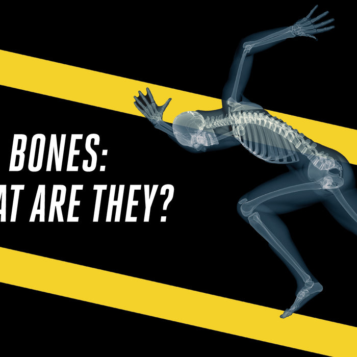 Bones: What are they?
